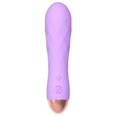 Cuties Silk Touch Rechargeable Mini Vibrator Purple Default Title > Sex Toys For Ladies > Mini Vibrators